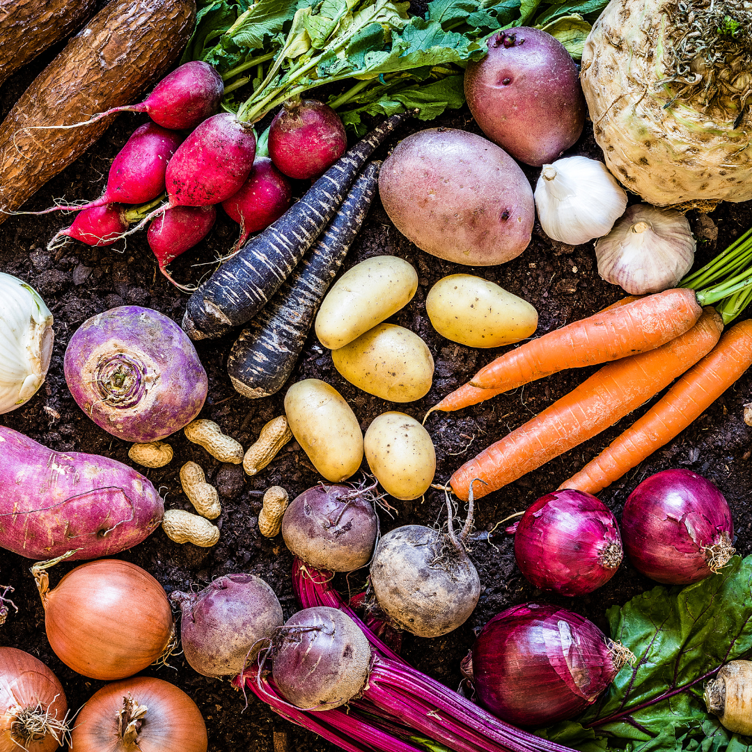 A basket of fresh organic vegetables, including carrots, tomatoes, and leafy greens, representing healthy eating.
